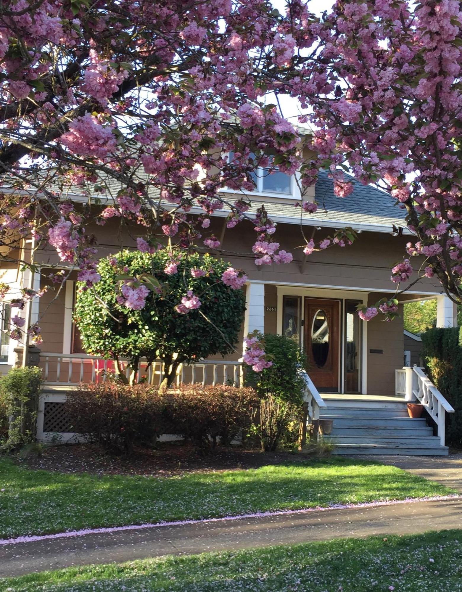 Southeast Portland Comfy & Eclectic Craftsman Home Ngoại thất bức ảnh