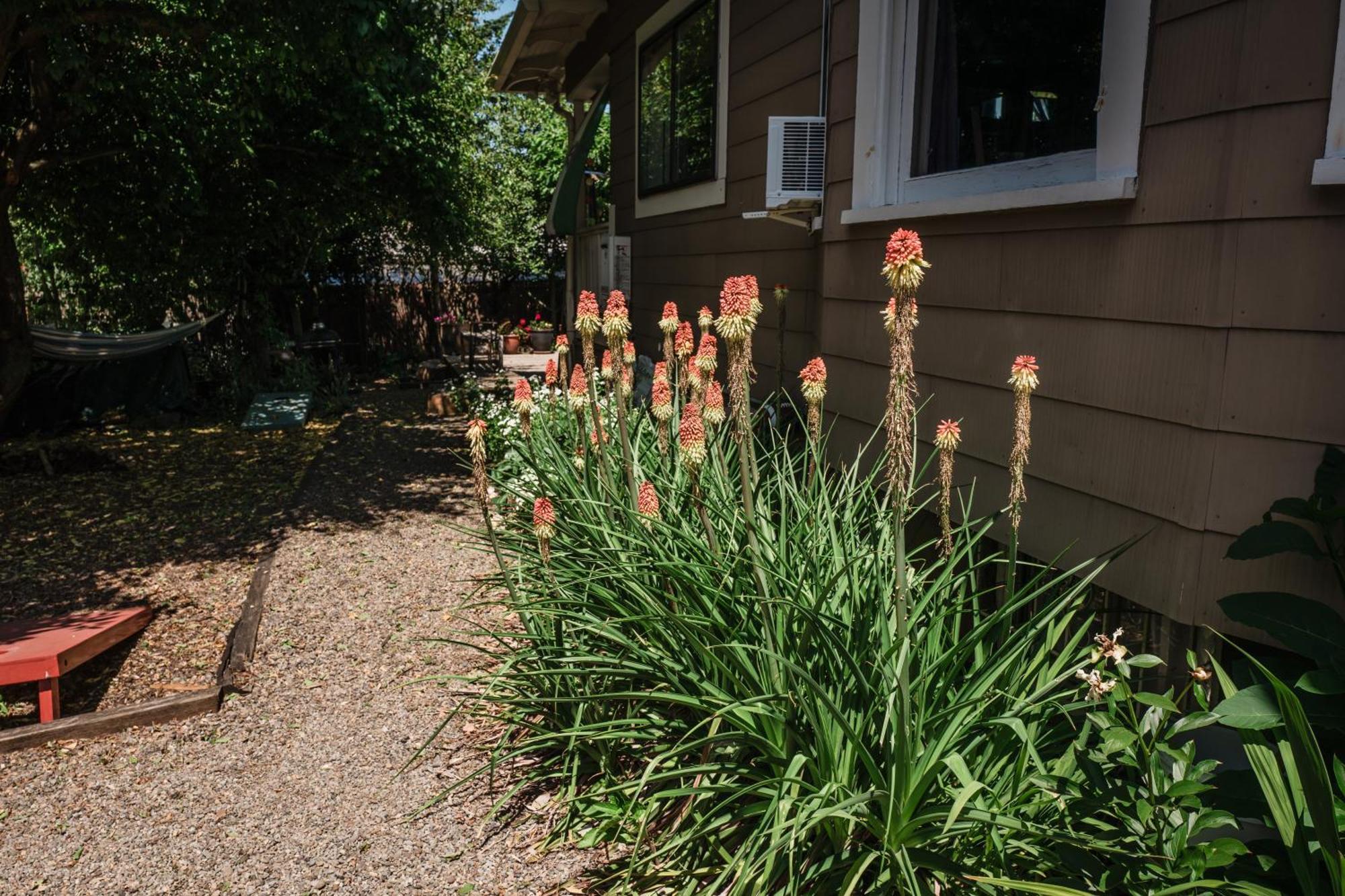 Southeast Portland Comfy & Eclectic Craftsman Home Ngoại thất bức ảnh